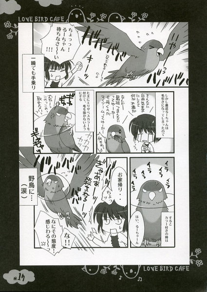 點選圖片以觀看原圖
